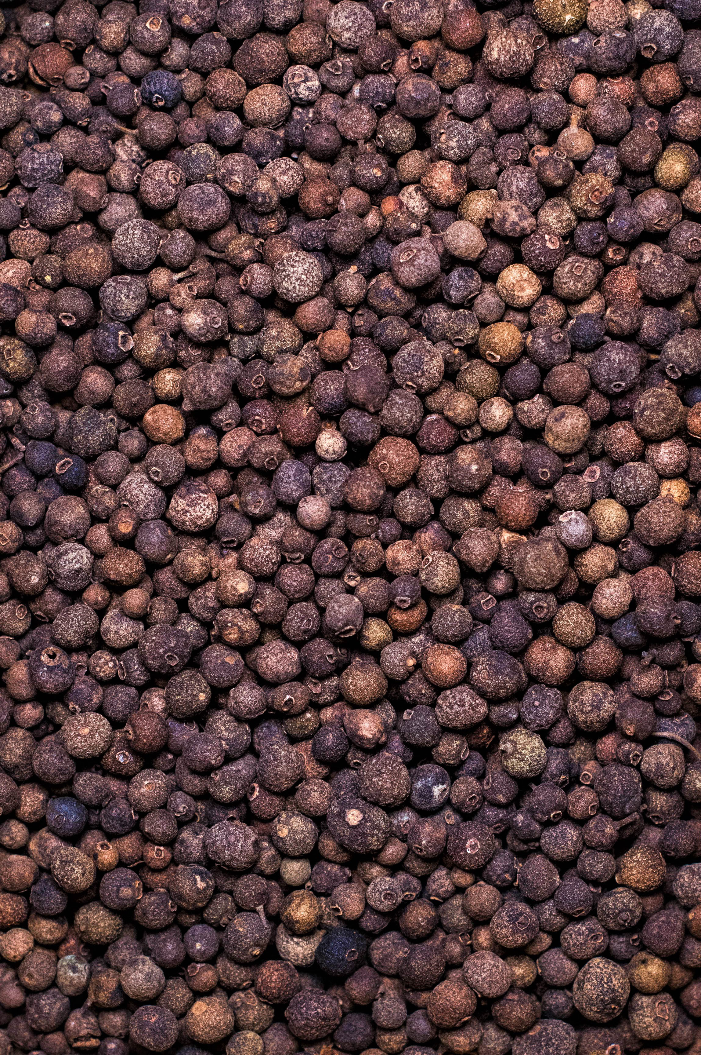 Piment